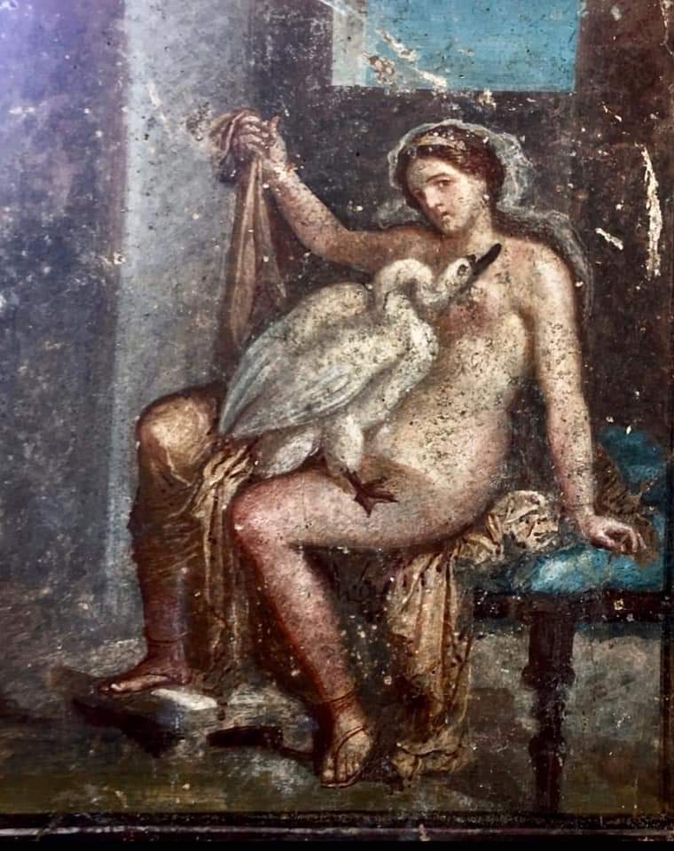 leda